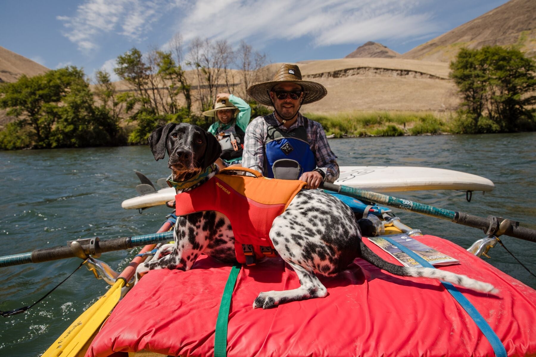 Float Coat Pre 2025 (Ruffwear) - SnowPaw Store - Ruffwear - Active Dog Gear